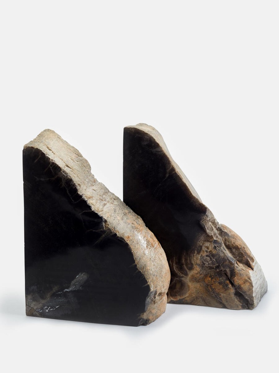 Decor Soho Home | Balfern Petrified Wood Bookends