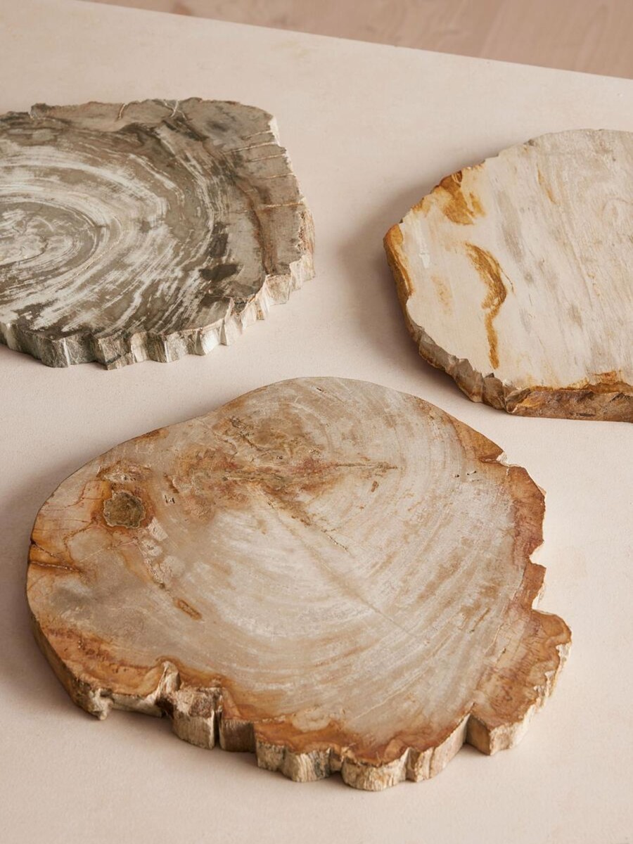 Dining Soho Home | Balfern Petrified Wood Serving Board